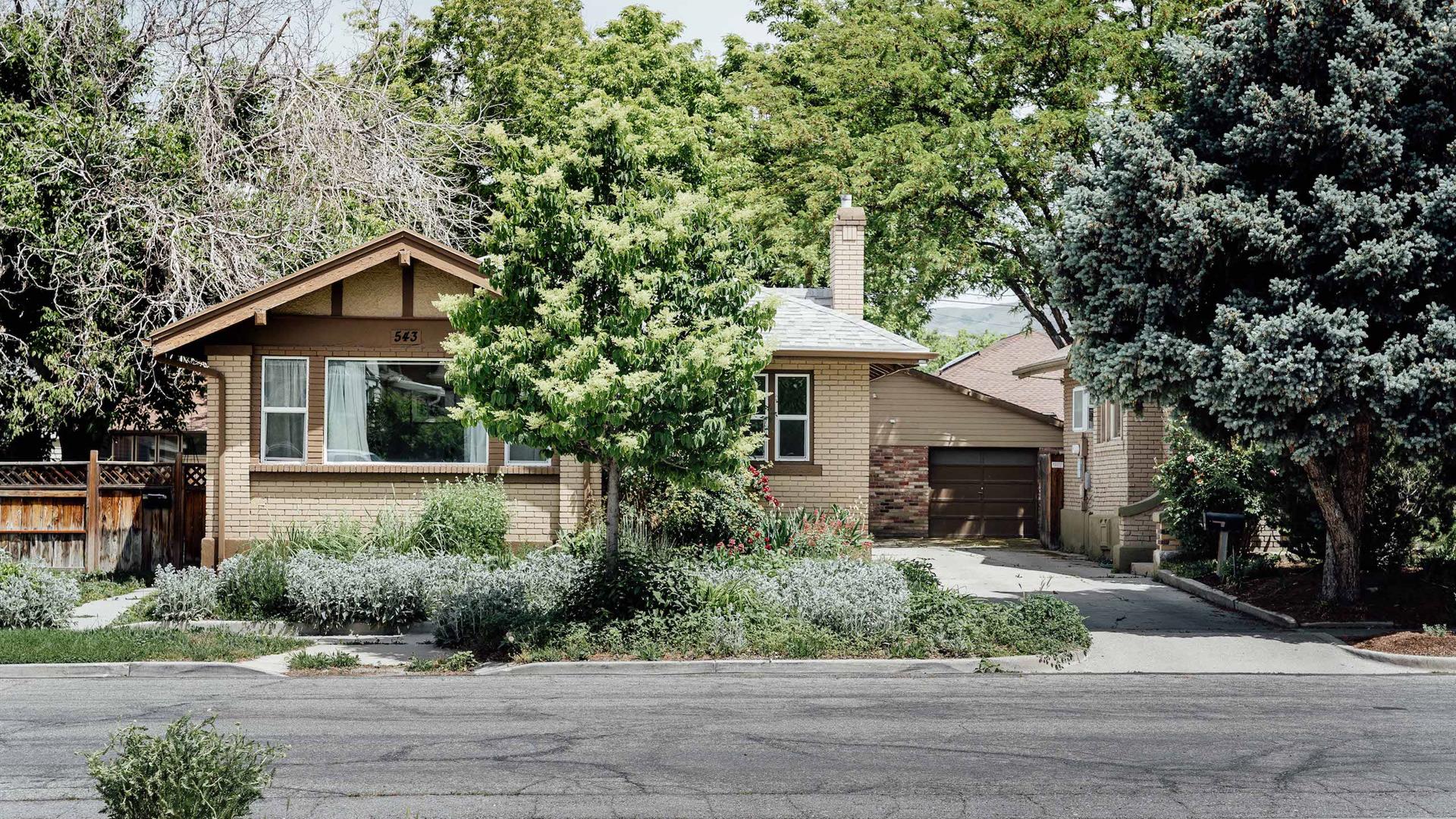 Kensington Ave Liberty Wells Charmer